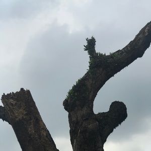 Meet your Posher, Moussa